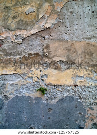 A great variety of textures and color characterize this Tuscan old world wall.