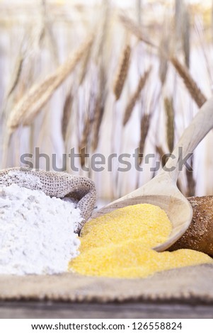 Close-up image of scoop of maize flour and a sack of wheat flour