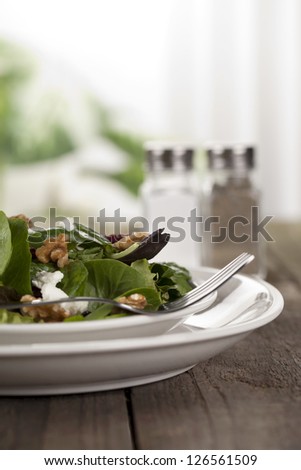 Low angle shot of delicious plate of vegetable salad over a blurred kitchen background