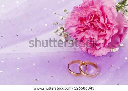 Close-up shot of pink carnation flower with two gold rings.