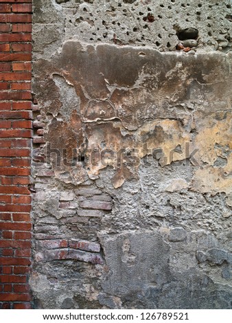 A thin vertical column of brick act as an anchor to the incredibly beautiful wall image.