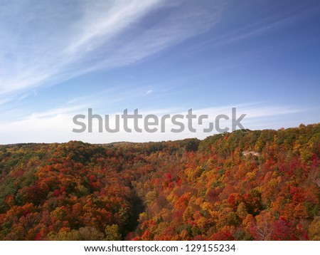 High angle view of a dense forest with sky in the background.