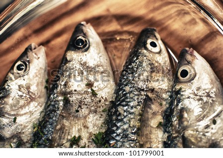 sea fish-fish cooked-mediterraneo fish