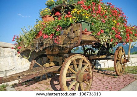 old wooden cart with pots of Geraniums flowers