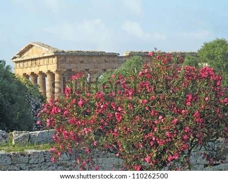 Ancient Greek Plants