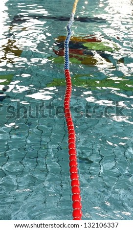 dividing line of the carriageway in an Olympic pool with blue water
