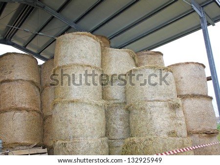 shed of a farm with many bales of hay to feed the animals
