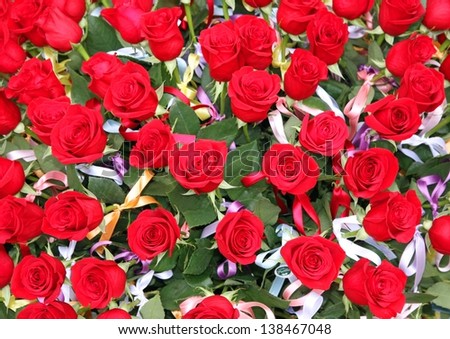 incredible bunch of lots of red roses in tribute to women and to the winner