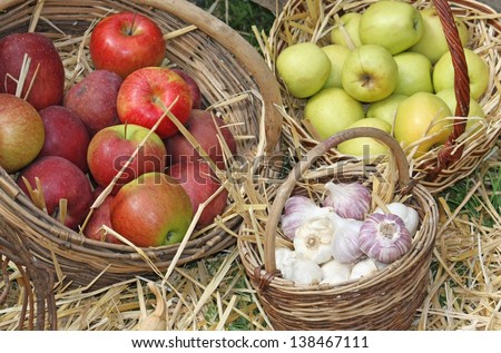 Wicker baskets on the market with the sale of red and Green apples and bunches of garlic