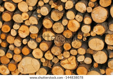 Woodshed with logs cut and perfectly aligned for heating during winter