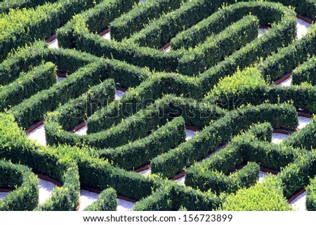 strange maze made with hedges in a garden of a villa