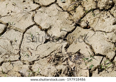 dry soil without water during the DROUGHT in the country