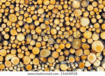 little tree trunks in the Woodshed of lumberjack who is getting ready for the cold winter