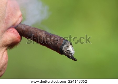 young smoker with long Cuban cigar in his mouth while smokes