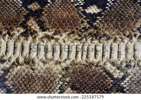 background of snake skin for leather accessories