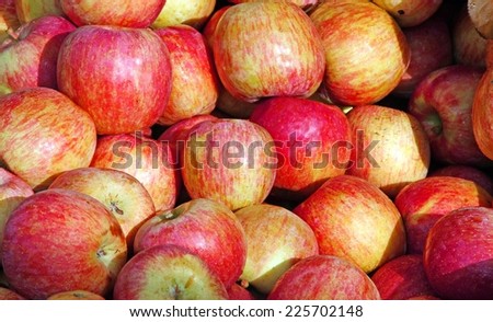 background of red apples on sale at the local market
