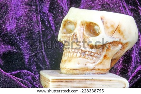 great skull above an ancient book