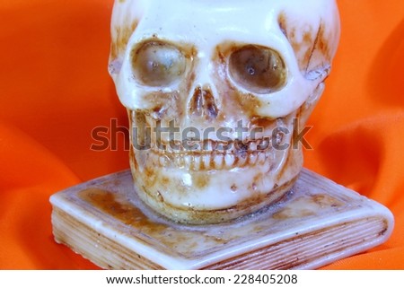 ancient human skull above a school book