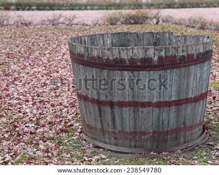 old wooden tub to pick the grapes during the harvest and wine making