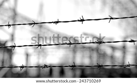 ancinet three lines of barbed wire to demarcate the border does not open