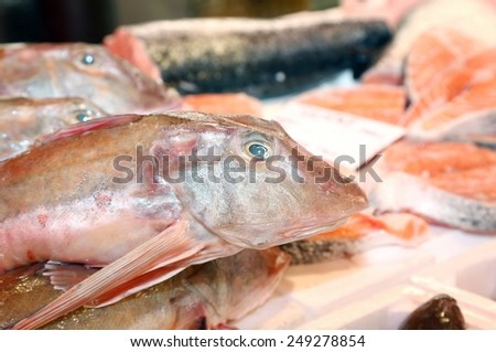 big fish on sale in fish market in southern Italy