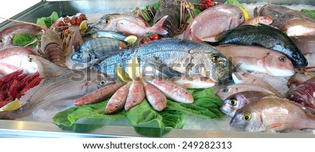 great white sea bream many saltwater fish fresh in the fridge of the seafood restaurant in southern Italy
