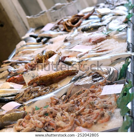 fish for sale in the stand of the fishmonger in a Mediterranean market