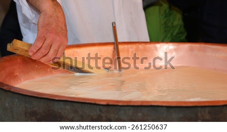 expert cheesemonger and check the temperature of the boiling milk in the pot for making cheese