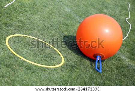ball to make the jumps and a circle for hula hoop in the meadow