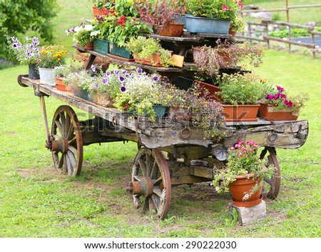 old wooden cart decorated with many flowers in the summer