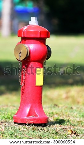 big red fire hydrant to extinguish fires in the village