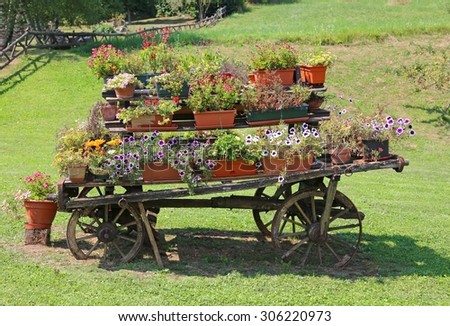 antique ornate wood cart full of blooming flowers in the Meadow