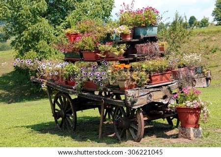 antique ornate wood cart full of blooming flowers in summer