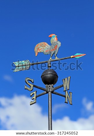 Weather vane vane for measuring wind direction with a rooster and the cardinal points