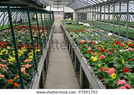 interior of a protected greenhouse for growing flowers and plants from garden