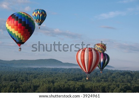 Hot Air Balloons Soaring in the Summer Sky