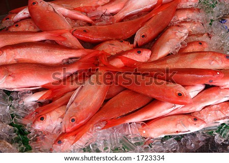  Fish Grill on Red Snapper Fish In Market Stock Photo 1723334   Shutterstock