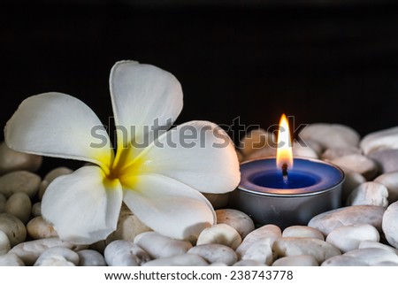 Plumeria flowers scented candles