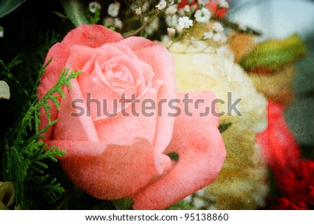 blossom pink roses