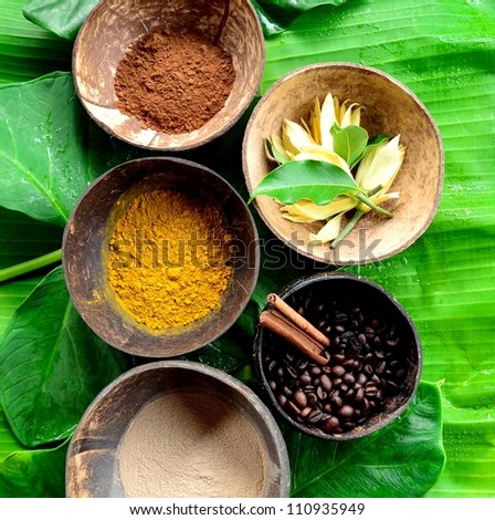 Spice for Asian spa.image of Tropical Asian spa.