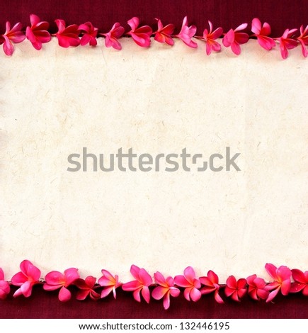 Pink plumeria.frame.on dark red background.image of exotic tropical Asian flower.
