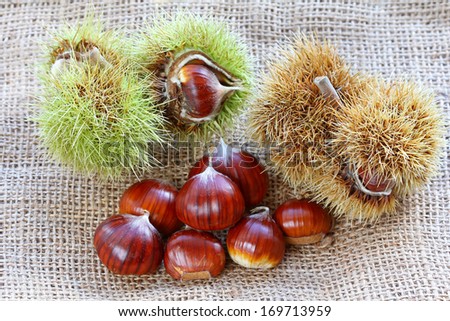 Shelled and unshelled Spanish chestnuts (Sweet chestnuts)