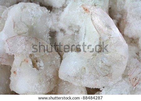Closeup photo of large size of frozen raw shrimp, no tail