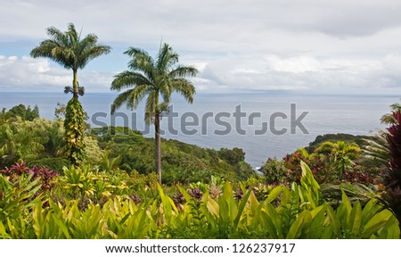 A tropical garden with flowers and two palm trees overlooking the ocean with blue sky and white clouds