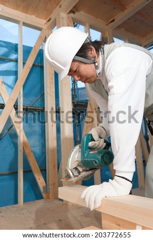 Carpenter of housing construction.