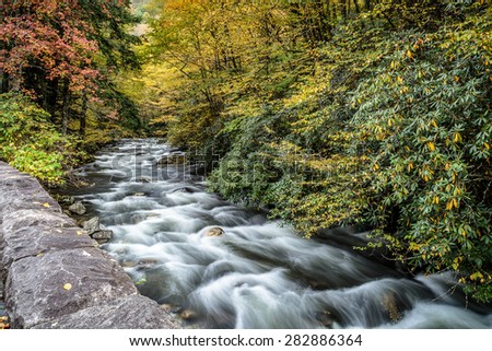 Great Smoky Mountains National Park - Stream near Cades Cove  - Gatlinburg Pigeon Forge TN