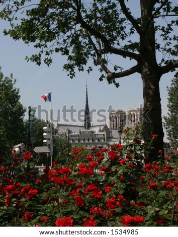 Notre Dame Cathedral with Roses