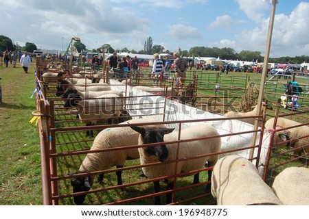 USK, WALES - September 11: sheep pens at the Usk Agricultural Show in Wales, UK on September 11, 2010. The show has been held every year since 1844 attracting thousands of visitors.