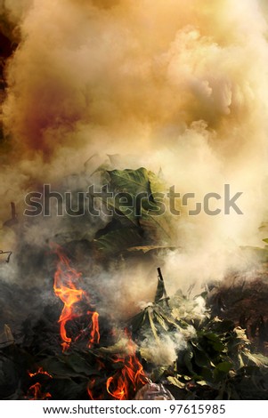 Plants, plastic and hazardous materials on fire emitting toxic and poisonous fumes and polluting environment