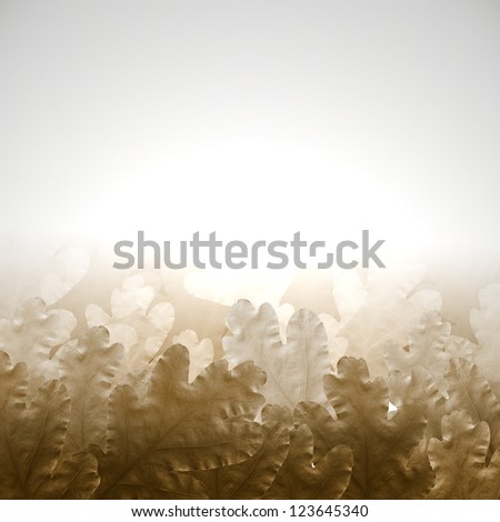 background with oak leaves,Dried oak leaves,Autumn picture with oak leaves